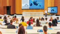 Interactive display in lecture with video wall-Audiovisual-Product